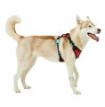 (F). Pets at Home 3 Peaks RED SMALL Control Ascent Dog Harness. 