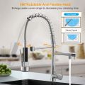 Luxury Sink Mixer// Spring Mixer For Sink Double Option. 