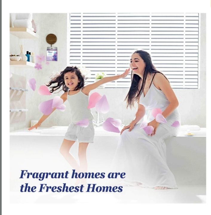 Odonil%20Air%20Freshener%20Blocks%20Pack%20Of%204%20of%20Different%20Packs%20-%20Image%204