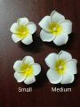2 pcs realistic foam kathgolap clip for kids, girls, women and brides. 