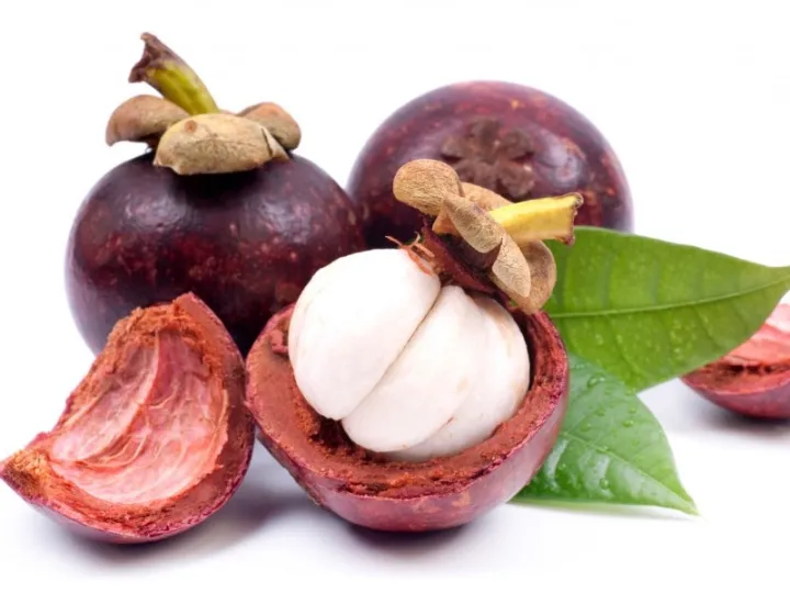 Mangosteen%20fruit%20plant%20mangus%20pala.%20-%20Image%203