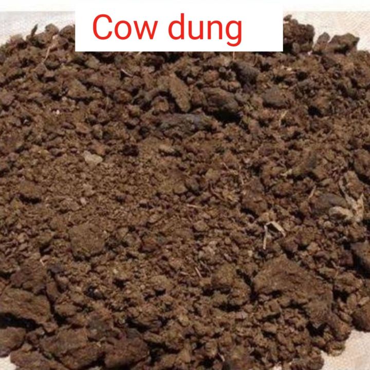 Best quality Cow dung fertilizer 5 kg-- 100% sukno