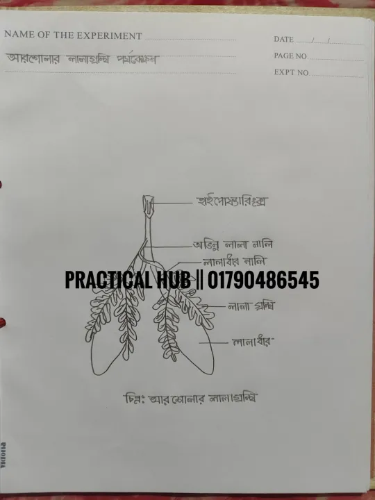 Hsc%202025%20Biology%202nd%20Paper%20Full%20Complete%20Practical%20Notebook%20-%20Image%209