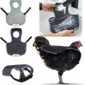 Chicken Saddle For Hens Adjustable Strap Chicken Saddle Breathable Full Coverage Feather Protection Poultry Accessories. 