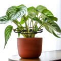 Plant Support Holder Corrosion Resistant Cute Leaf Shaped Plant Cages and Supports Suitable for Climbing Flowers. 