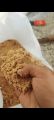 Aquarium River sand 5 kg pack | Planted Aquarium Sand | Organic aquarium river sand. 