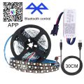 DC5V WS2812B Led Strip With SP110E USB Bluetooth Controller RGB IC 30/60/144 Pixels/m RGB Individually Addressable LED Light Kit. 