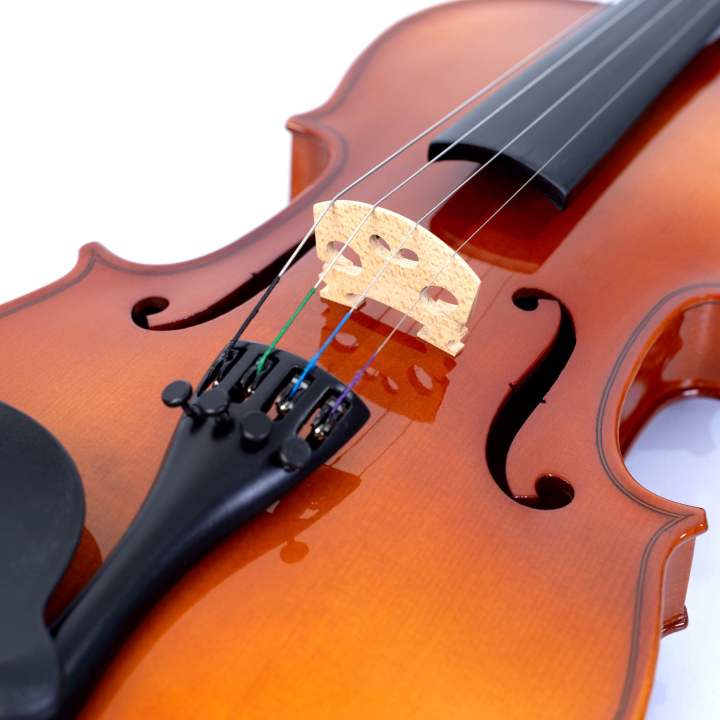 Skylark%201/2%20Solid%20Vioiln%20with%20Blue%20Case%20-%20Image%204