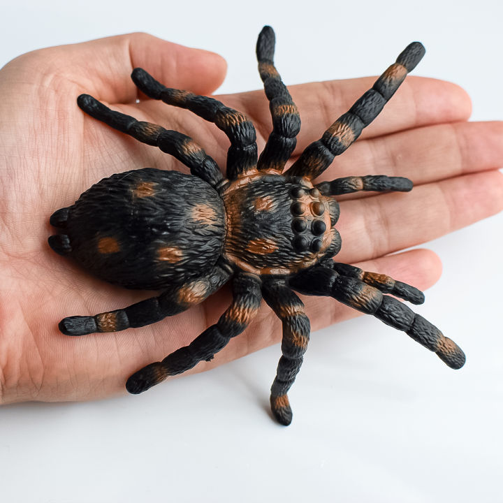 2%20Pieces%20of%20Simulated%20Spider%20Models%20%7C%20Decorative%20Ornaments%20%7C%20Teaching%20Props%20%7C%20Birthday%20Anniversary%20Party%20Holiday%20%20%7C%20Halloween,%20,%20Hanukkah,%20Easter,%20Day%20of%20the%20Dead,%20Winter%20%20%7C%20Holiday%20Atmosphere%20Decorations%20-%20Image%205