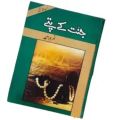 Jannat Kay Pattay Urdu novel by Nemra nimra Ahmed womens writer Best selling urdu reading book covering novel original books collections by aftrader. 