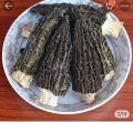 Morel Mushroom, Gucchi, Mushroom 100grams. 