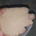 10 kg Mealworm frass, organic fertilizer. 