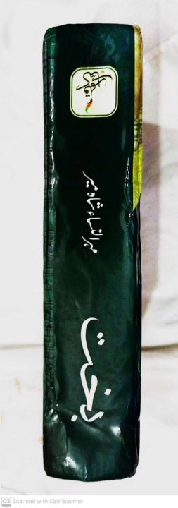 Bakht%20by%20mehrun%20nisa%20shah%20meer%20-%20Image%203