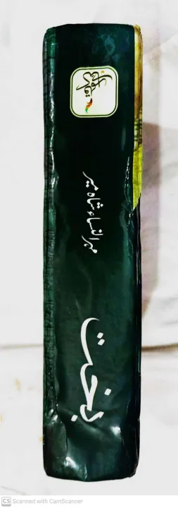 Bakht%20by%20mehrun%20nisa%20shah%20meer%20-%20Image%203