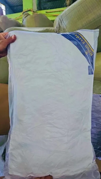 Silicon%20Pillow%20(large%20size)%20-%20Image%206