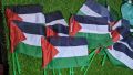 palestine bike flag. 