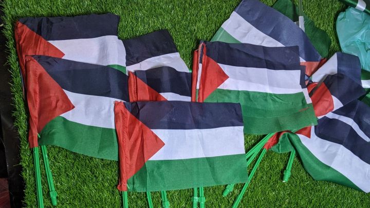 palestine bike flag