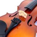 Skylark 3/4 Solid Violin with Blue Case. 