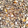 Pigeon feed 1kg. 