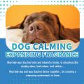 Pet Calming Liquid Dog Emotions Relief Noise Reduction Train Anti Anxiety Fighting Calming Diffuser Manage Cat Calm down Fluid. 