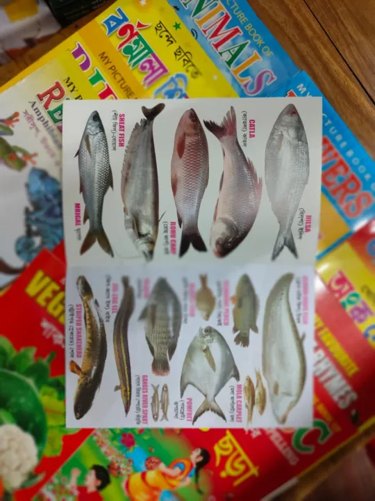 %E0%A6%9B%E0%A7%8B%E0%A6%9F%20%E0%A6%AC%E0%A6%BE%E0%A6%9A%E0%A7%8D%E0%A6%9A%E0%A6%BE%E0%A6%A6%E0%A7%87%E0%A6%B0%20%E0%A6%AA%E0%A7%8D%E0%A6%B2%E0%A6%BE%E0%A6%B8%E0%A7%8D%E0%A6%9F%E0%A6%BF%E0%A6%95%E0%A7%87%E0%A6%B0%20%E0%A6%AA%E0%A6%A1%E0%A6%BC%E0%A6%BE%E0%A6%B0%20%E0%A6%AC%E0%A6%87%20(%E0%A6%8F%E0%A6%95%20%E0%A6%B8%E0%A7%87%E0%A6%9F%20%E0%A7%A7%E0%A7%AA%20%E0%A6%9F%E0%A6%BF)%20-%20Image%203