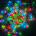 WS2812B RGBIC Christmas Lights LED String 10m 100leds WS2812 Birthday Party Room Decoration Light Addressable Individually DC5V. 