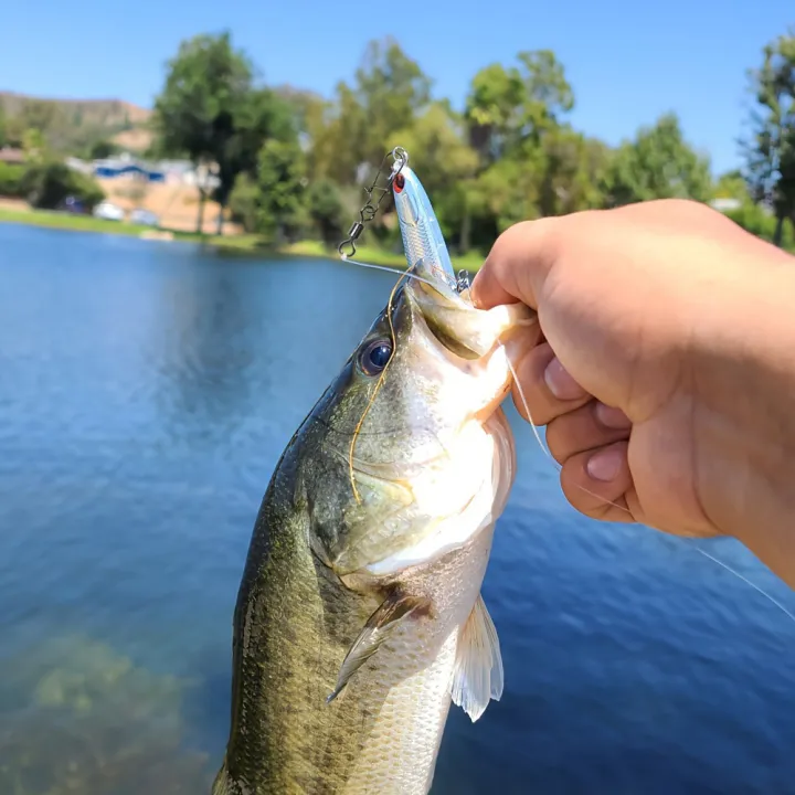 95/210%20PCS%20Set%20Fishing%20Connector%20Gear%20Kit%202-10#%20Stainless%20Steel%20Pin%20Bearing%20Rolling%20Swivel%20Snap%20For%20Lure%20Hook%20Tackle%20Accessories%20-%20Image%206