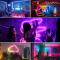 BEIMU TUYA WIFI LED Neon Strip Lights RGBIC Waterproof Voice Control Support Smart Life/Alexa For Home Outdoor Shop Decoration. 
