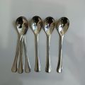 NOVA 6 pcs stainless steel long sup spoon 6 inches long silver colour. 