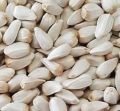 Safflower | Safflower Seeds for birds |
500 gram pack | Khurtum
| kurtum | کرتم. 