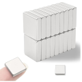Neodymium Magnets - Super Strong Rare Earth Magnets, Small Rectangular, 10 x 10x 2mm. 