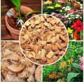 Coconut Husk Chips/Pieces for Gardern, Orchids-500g Pkt. 