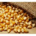 Corn Bird Food Seed 1kg. 