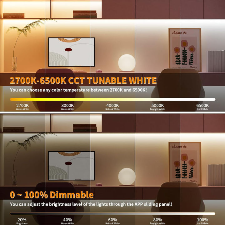 Zigbee%20Smart%20COB%20CCT%20Led%20Strip%20Full%20Kit%20SMD%20COB%20Dimmable%20Strip%202.4G%20RF%20Touch%20Panel%20Remote%20APP%20Control%20for%20Alexa%20%20Assistant%20-%20Image%203