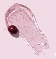 Love Nature Refreshing Face Scrub with Upcycled Cranberry. 