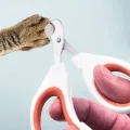 Professional Cat Nail Clippers for Small Cat Dog Stainless Steel Puppy Claws Cutter Pet Nall Grooming Clippers Trimmer. 