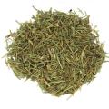 Horsetail Herb | Organic Horse Tail | Dry HorseTail | 40 GM. 
