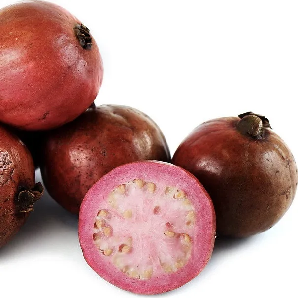 Strawberry%20Guava%20Cheena%20Pera%20podi%20Pera%20pala%20plant%20-%20Image%203