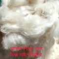 Shimul tula 1 KG (100% pure) Natural without seeds best for sleep. 