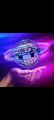 Flying Nova Pro Ball Premium Quality Spinner 8 Minutes Fly Magic Ball Rotating Flying Ball Mini.... 