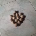 areca nut betle nut 100%sun dry1kg(karunka). 