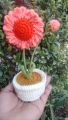 Crochet Daisy Flower Mini Pot   /Crochet Flowers. 