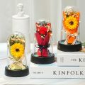 Everlasting LED Rose in Glass Dome – Romantic Gift for Valentine’s Day, Anniversary, Eid,Christmas & Home Decor. 