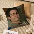 D-Dylan O Brien Pillow Case Anti-dustmite Invisible zipper Sofa Bed.