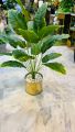 Artificial green plant. 