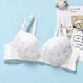 Gathering Show Large French Underwear Women Collect Side Breasts Upturned Bra Without Steel Ring Underwear Set. 