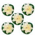 5/7pcs, Artificial Lotus, Realistic Water Floating Foam Lotus, Fake Water Lily Leaves, Home Garden Yard Pond, Home Decor.