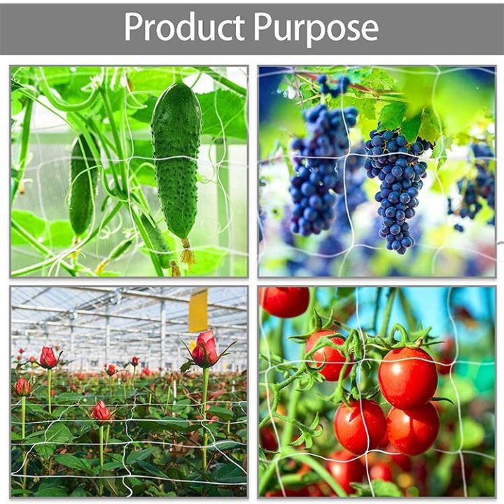 2*100m%20vegetable%20netting,%20vegetable%20trellis%20netting,%20nylon%20mesh%20netting,%20melon%20netting,%20cucumber%20planting%20netting%20-%20Image%208