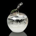 Desktop Stylish Apple Bird Swan Shaped Crystal Weather Forecast Bottle Glass Storms Weather Predictor Monitor Barometer For Home. 