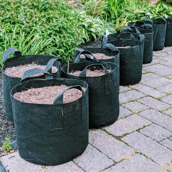 Grow%20Bag%20%2012by13%20good%20quality%20for%20any%20type%20of%20plants%20tree%20-%20Image%202